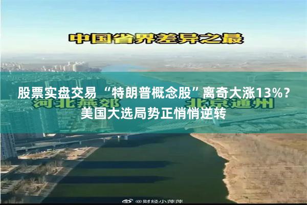 股票实盘交易 “特朗普概念股”离奇大涨13%？美国大选局势正悄悄逆转