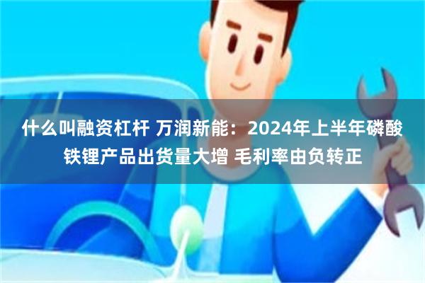 什么叫融资杠杆 万润新能：2024年上半年磷酸铁锂产品出货量大增 毛利率由负转正