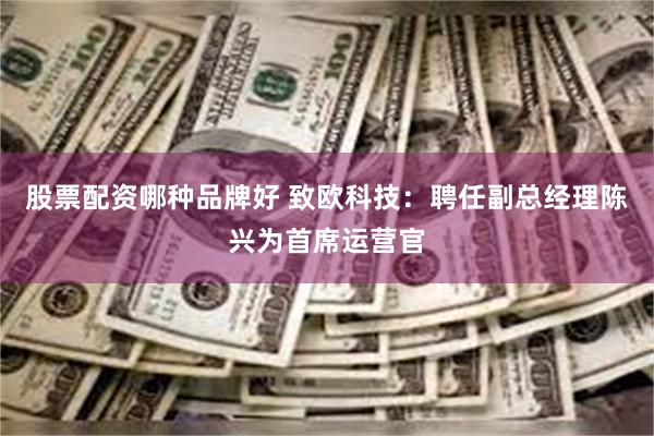 股票配资哪种品牌好 致欧科技：聘任副总经理陈兴为首席运营官