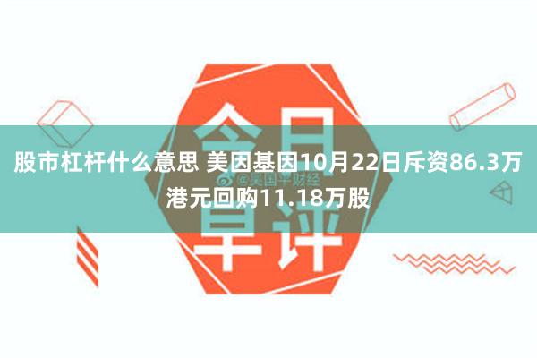 股市杠杆什么意思 美因基因10月22日斥资86.3万港元回购11.18万股