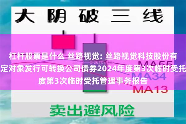 杠杆股票是什么 丝路视觉: 丝路视觉科技股份有限公司向不特定对象发行可转换公司债券2024年度第3次临时受托管理事务报告