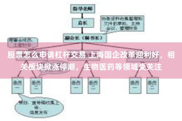 股票怎么申请杠杆交易 上海国企改革迎利好，相关板块掀涨停潮，生物医药等领域受关注