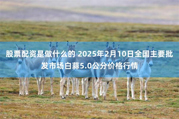 股票配资是做什么的 2025年2月10日全国主要批发市场白蒜5.0公分价格行情